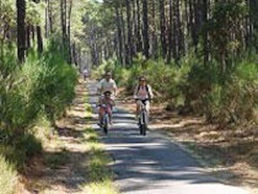 Maison De Vacances 4/5 Personnes A Leon, Landes Eksteriør billede